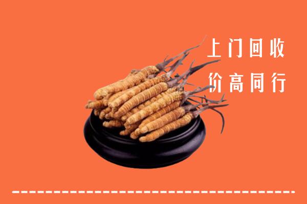 衢州回收冬虫夏草