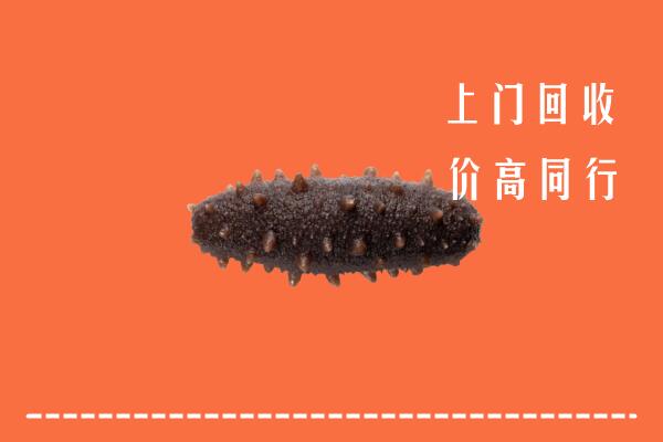 衢州高价回收海参